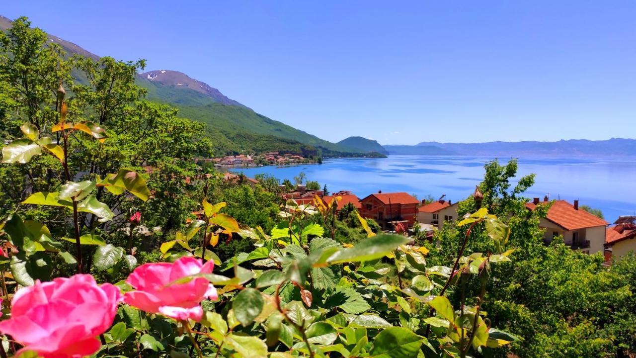 Villa Forest Paradise Ohrid Exterior photo
